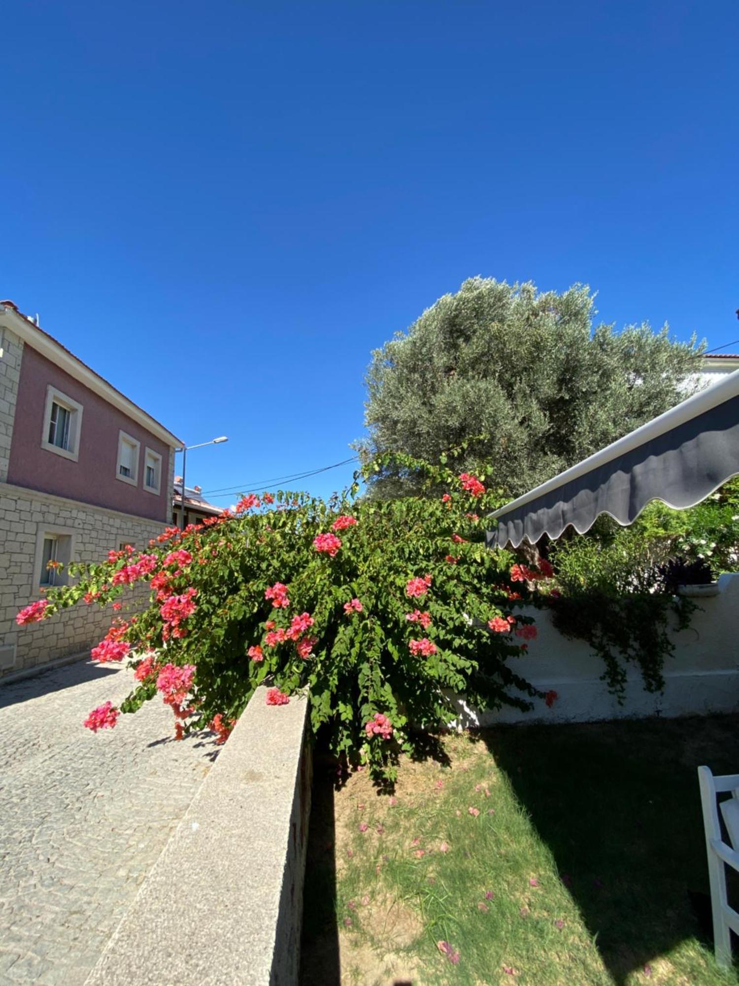 Cakir Bey Hotel Alacatı Bagian luar foto